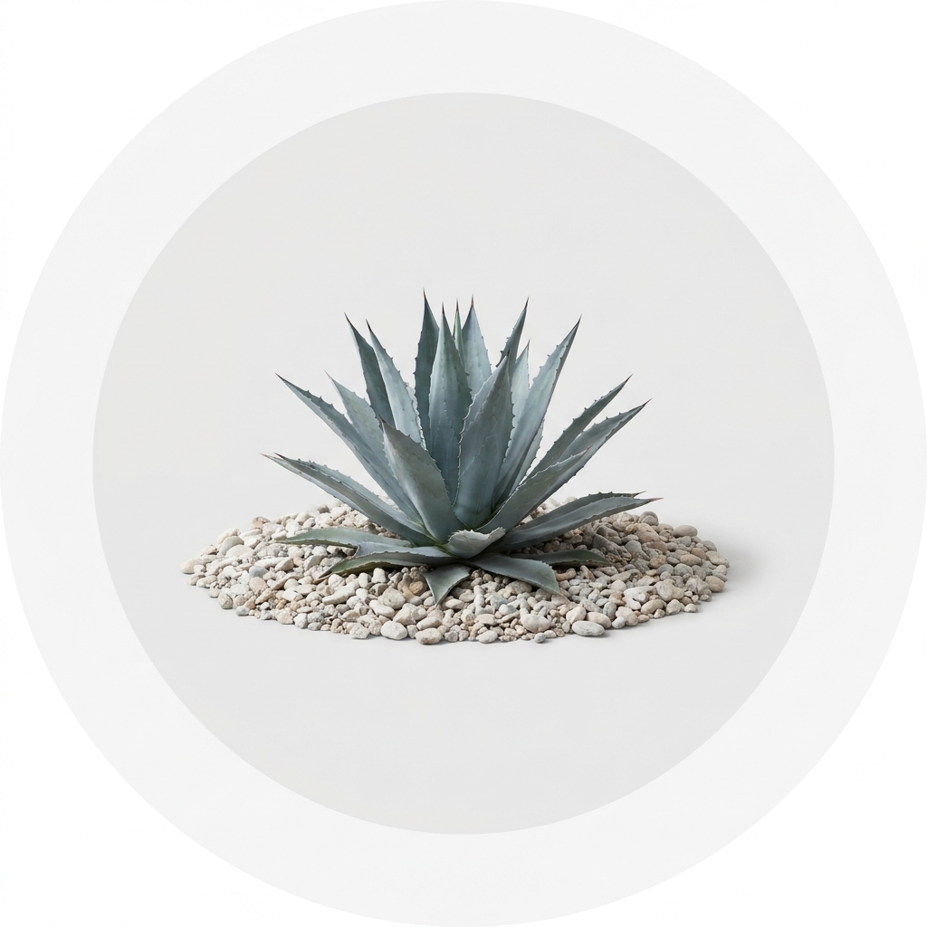 Desert