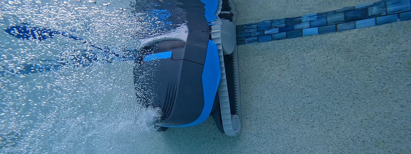 Dolphin Cayman Review — tested poolside