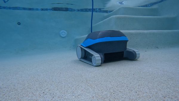 Back side view of the Dolphin Cayman