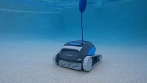 Dolphin Cayman