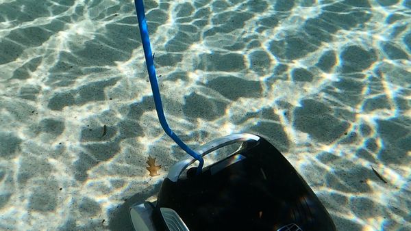 Dolphin Explorer E30 collecting leaves from a pool floor
