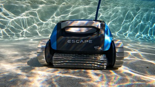 Dolphin Escape sitting poolside in the sun