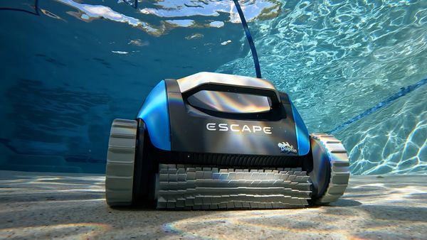 Dolphin Escape cleaning the pool floor in sunlight