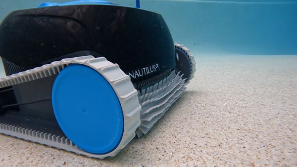 Close-up of the Dolphin Nautilus CC brush