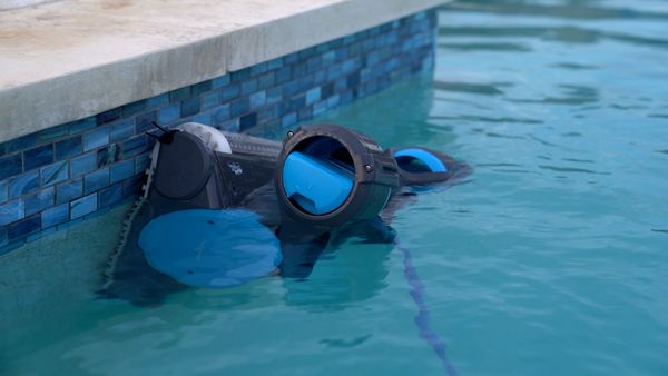 Dolphin Premier viewed from across the pool cleaning the far wall