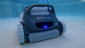 Dolphin Quantum