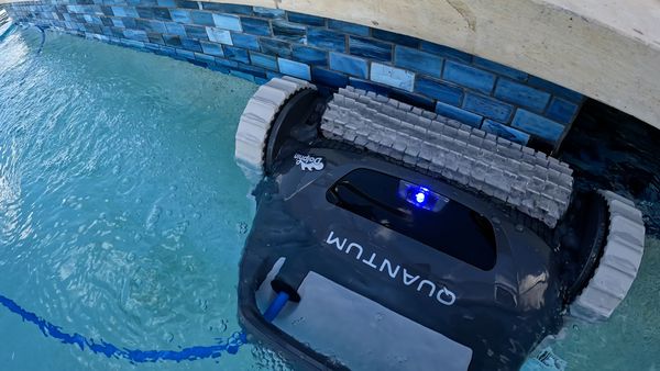 Dolphin Quantum with a larger MaxBin for extended cleaning