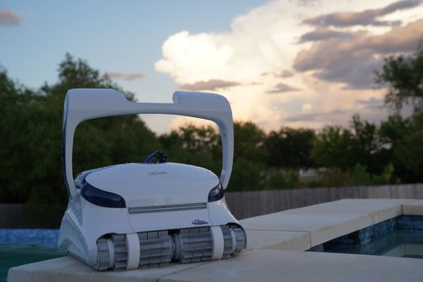 Dolphin Sigma on the pool ledge with sky background
