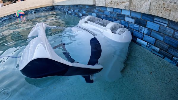 Dolphin Sigma scrubbing blue tile along the waterline