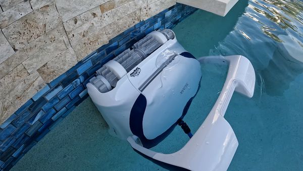 Dolphin Sigma cleaning the waterline