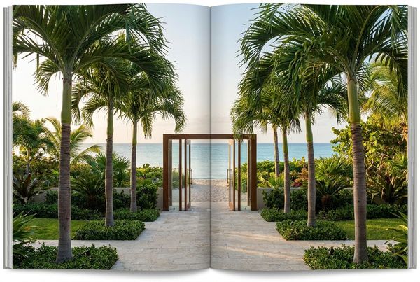 Beach entry pool framed by tall palms and a wide shallow shelf