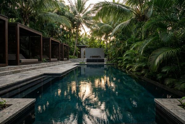 Dark bottom pool in a lush tropical setting with sunlight