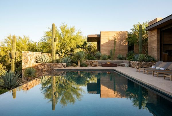 Agave and gravel framing a swimming pool