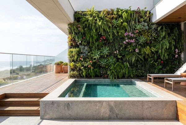 Plunge pool with a lush vertical garden wall as a backdrop