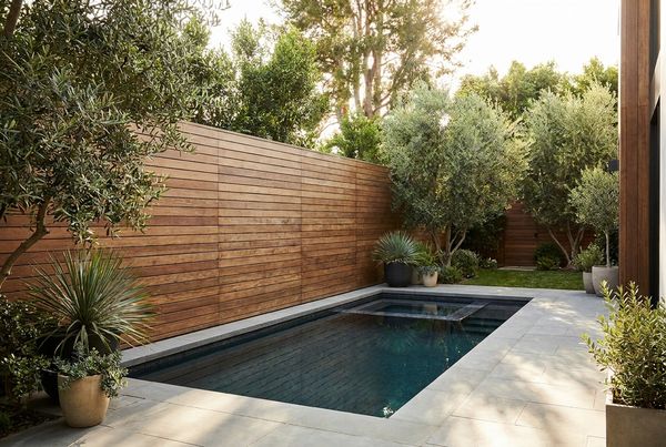 Plunge pool tucked behind a slatted privacy fence