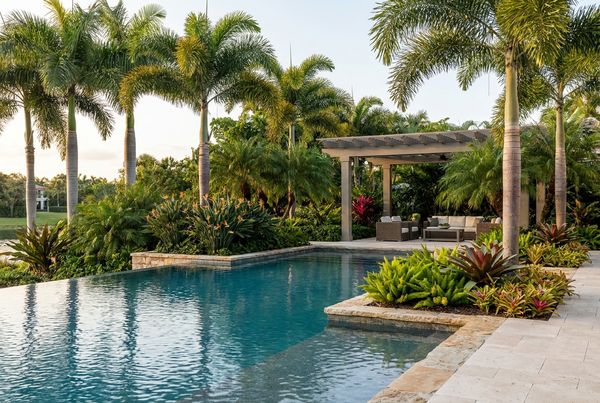 Tropical poolside planting with palms and bird of paradise