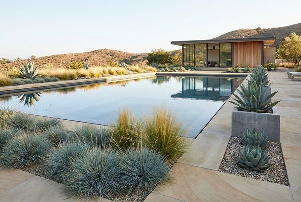 Poolside planting framing a backyard swimming pool