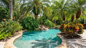 Pool Landscaping Ideas: Plants, Privacy & Poolside Design