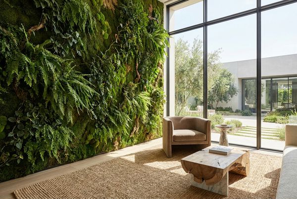 Lush living green wall of plants screening a poolside seating area