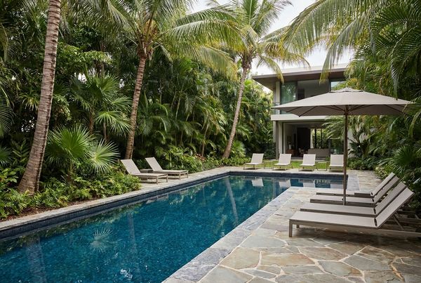 Tall privacy palms screening a pool from an overlooking two-story house