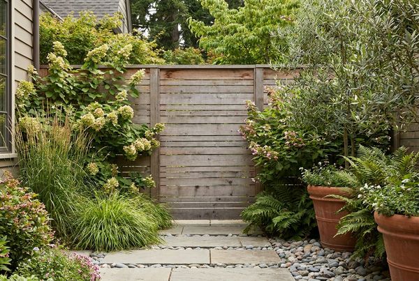 Privacy fence layered with tall plants and shrubs in front