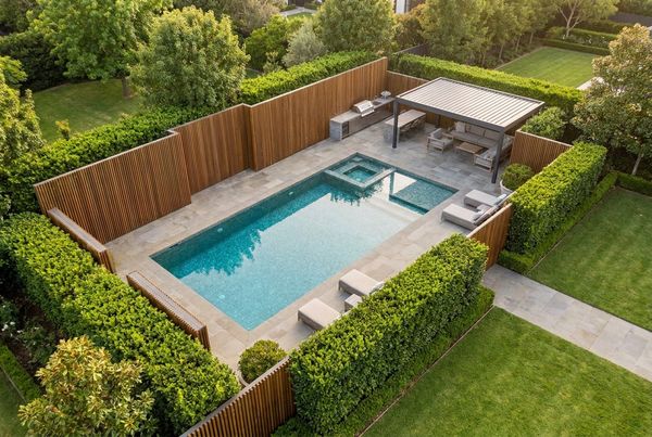 Tall clumping bamboo screen along a pool fence