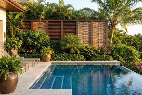 Lattice privacy screen with climbing vines by a pool