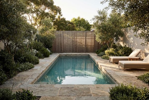 Courtyard pool with a slat privacy screen enclosing a compact space