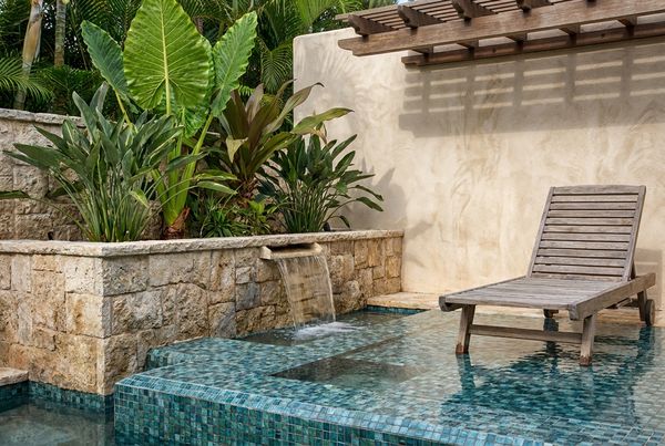 Styled tropical backyard with a lagoon pool and tall palms